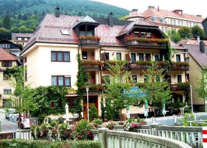 Hotel Restaurant Alte Linde 바드윌드바드 외부 사진
